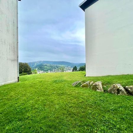 Joli Studio Cosy, Vue Magnifique Et Terrasse Privee Gérardmer Eksteriør billede
